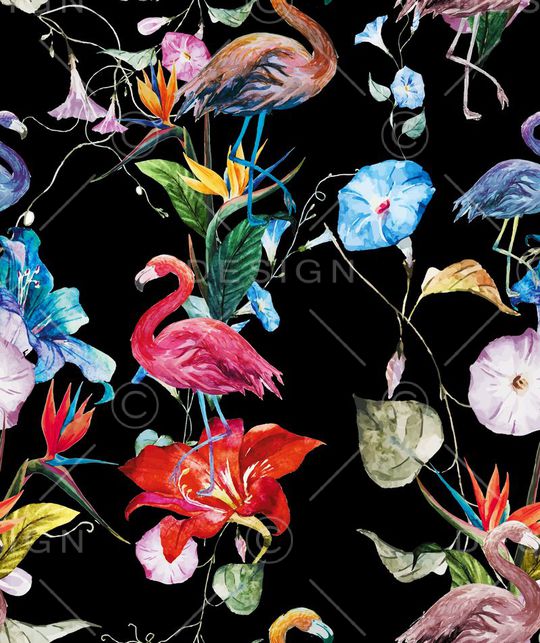 火烈鸟印花华亿平台图片