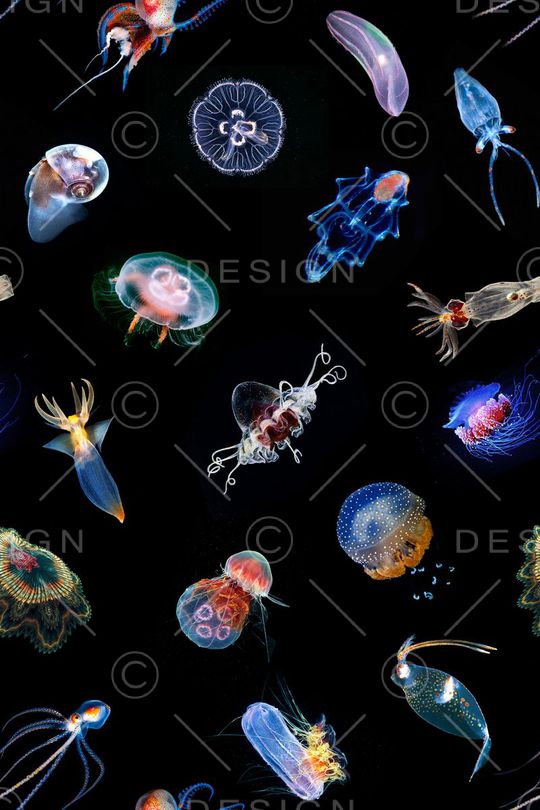 时尚印花华亿平台图片