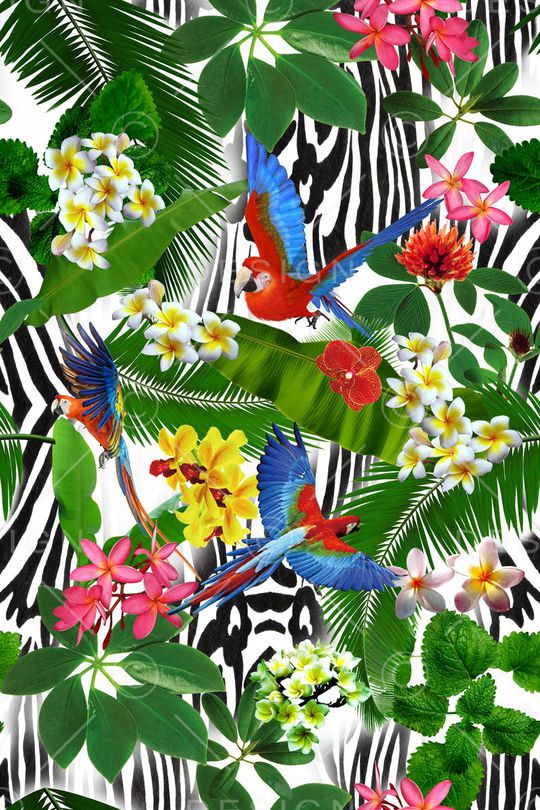 热带植物叶子印花华亿平台图片