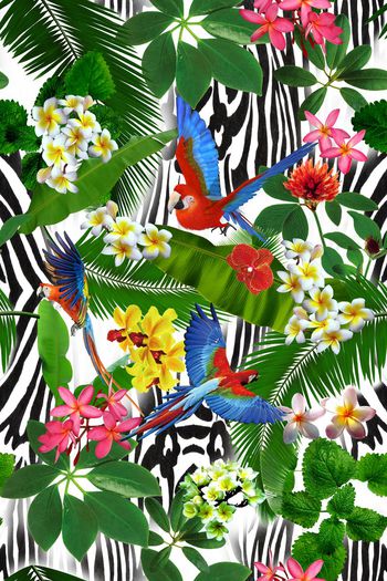 584373-热带雨林之聆听色彩