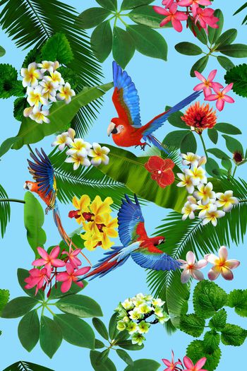 584374-热带雨林之聆听色彩