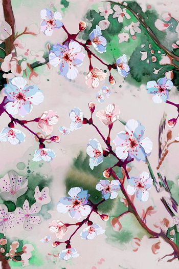 584378-水墨 樱花 