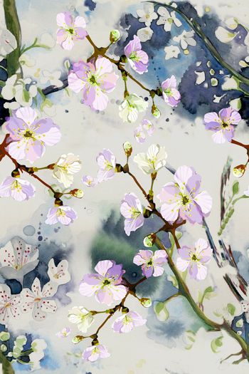 584379-水墨 樱花 