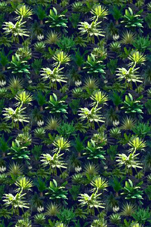 热带风格印花华亿平台图片