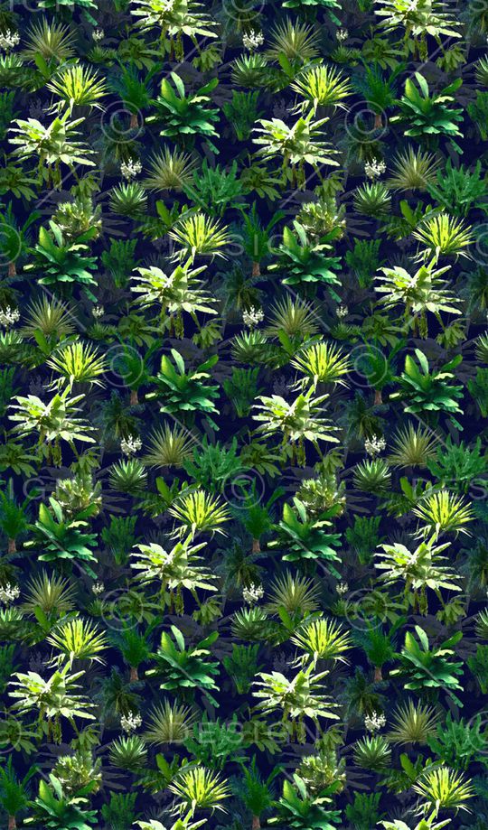 热带风格印花华亿平台图片