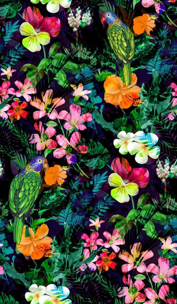 584428-热带雨林 植物花卉花