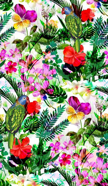 584429-热带雨林 植物花卉花