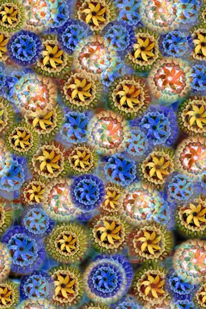 数码华亿平台印花华亿平台图片