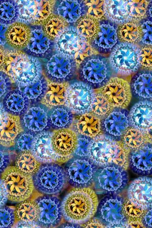 数码华亿平台印花华亿平台图片