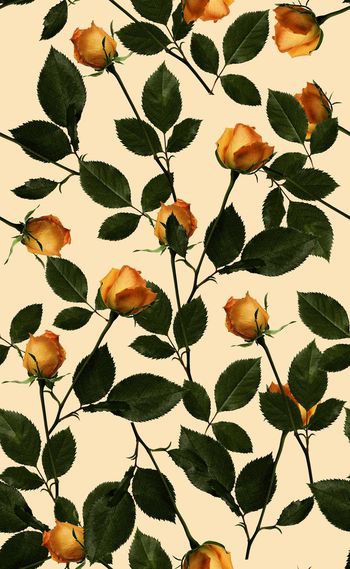 584552-欧美时尚玫瑰花系列