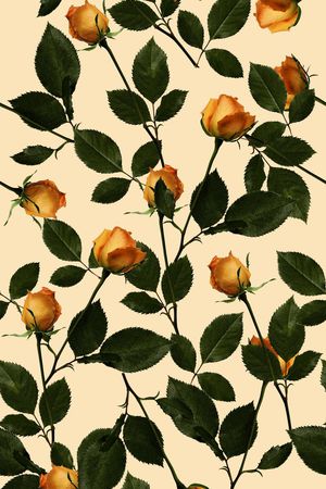 玫瑰花印花华亿平台图片