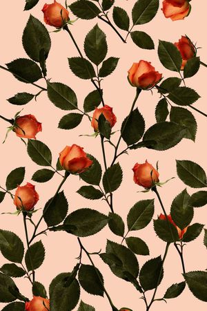 玫瑰花印花华亿平台图片