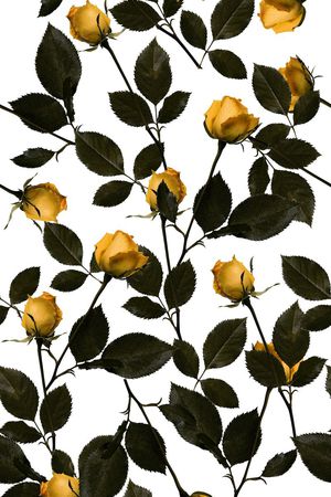 玫瑰花印花华亿平台图片