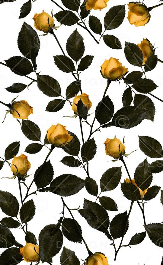 玫瑰花印花华亿平台图片