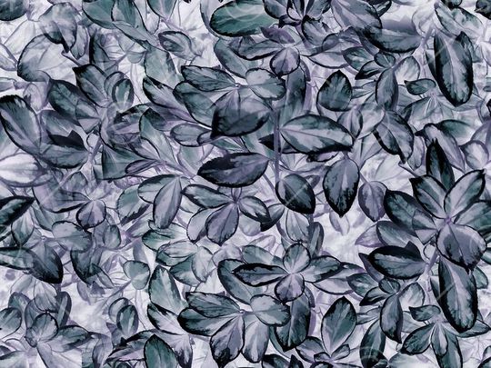 女裙印花华亿平台图片