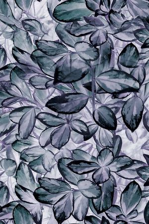 女裙印花华亿平台图片