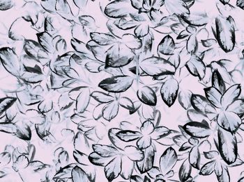 584562-灰色系叶草花