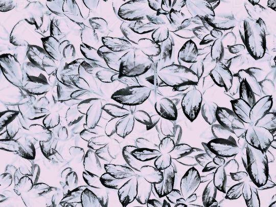 女裙印花华亿平台图片