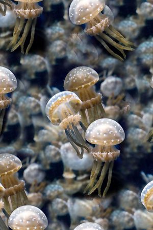 抽象几何清爽梦幻艺术平底立体手绘满版最新高清数码蕾丝民族中国风绣花珠宝肌理时尚潮

流大牌复古欧美风最新最时尚印花华亿平台图片