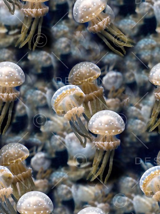 抽象几何清爽梦幻艺术平底立体手绘满版最新高清数码蕾丝民族中国风绣花珠宝肌理时尚潮

流大牌复古欧美风最新最时尚印花华亿平台图片