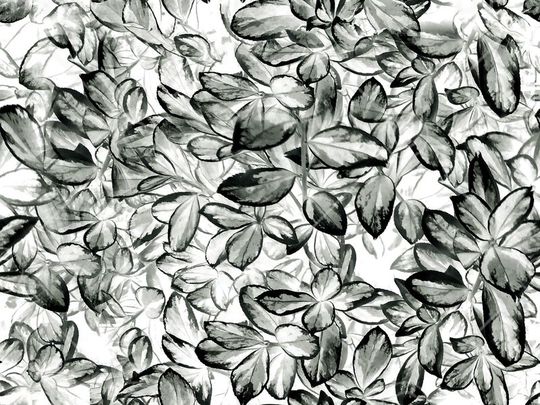 女裙印花华亿平台图片