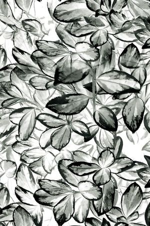 女裙印花华亿平台图片