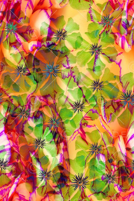 零点--女装印花华亿平台图片