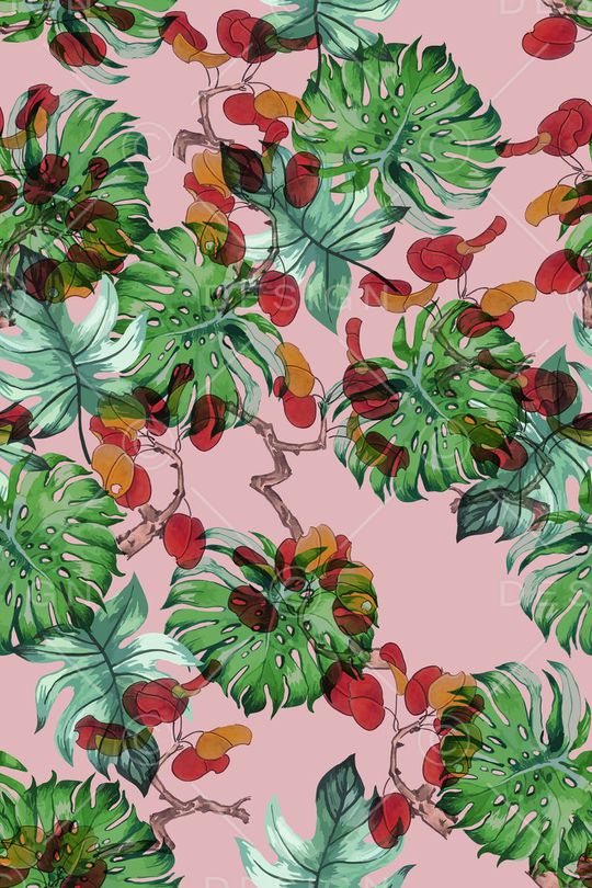 棕榈叶印花华亿平台图片