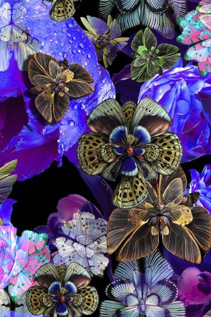 绚彩印花华亿平台图片