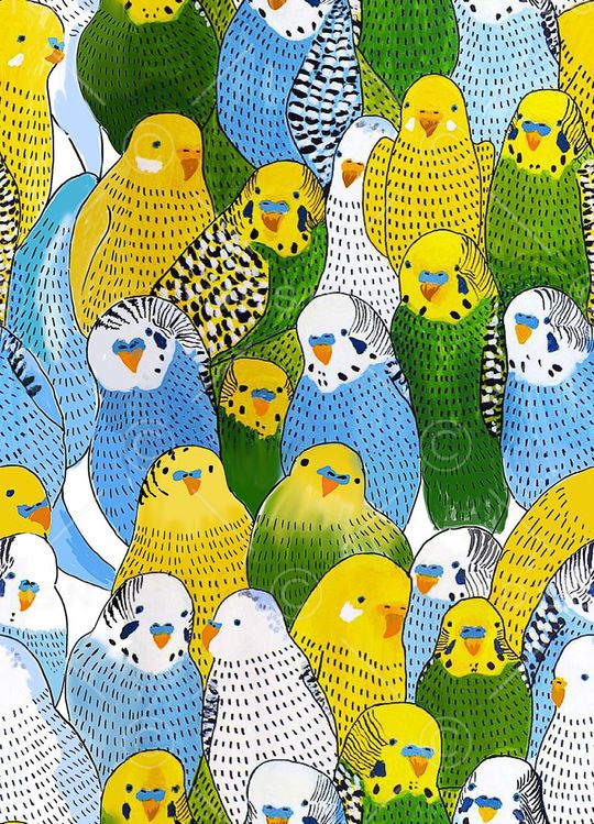 动物印花华亿平台图片