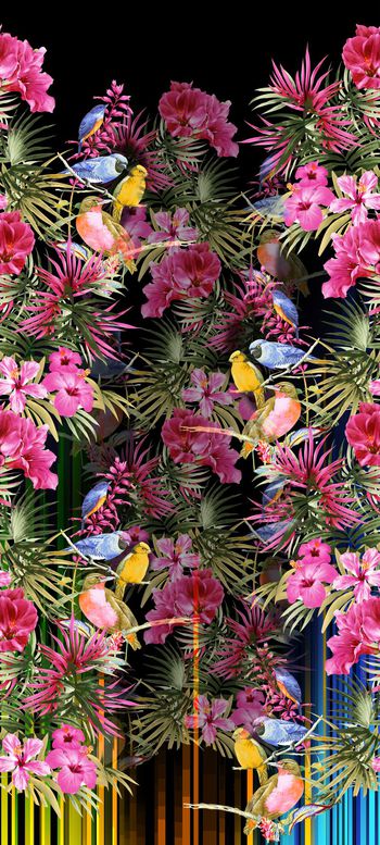 584750-花鸟 热带植物 条纹