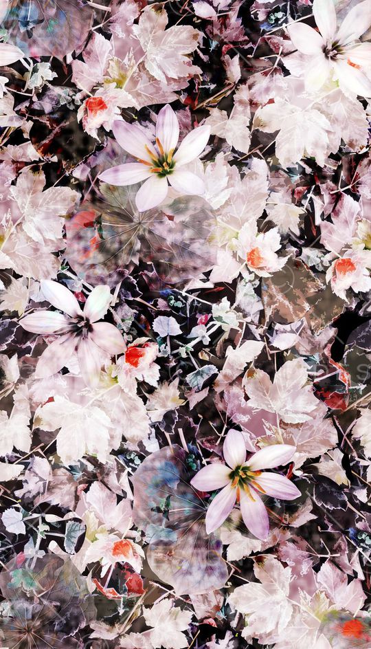 抽象、花卉、纹理印花华亿平台图片