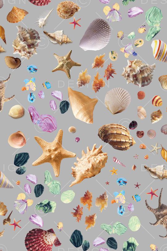 潮流时尚大牌印花华亿平台图片