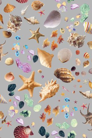 潮流时尚大牌印花华亿平台图片