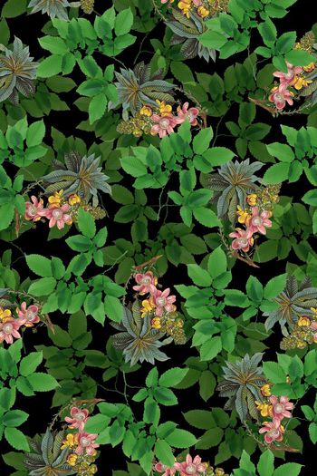 584923-绿叶花卉组合