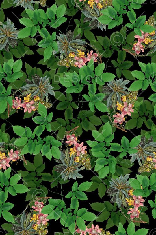 热带印花华亿平台图片