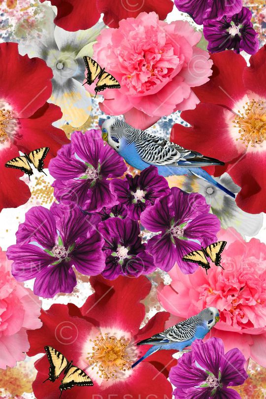 零点--女装印花华亿平台图片