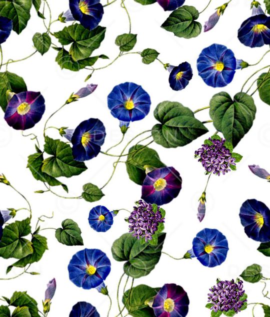 数码印花华亿平台图片