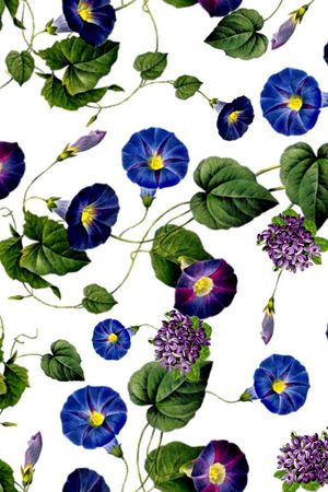 数码印花华亿平台图片