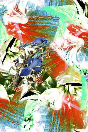 抽象图案印花华亿平台图片