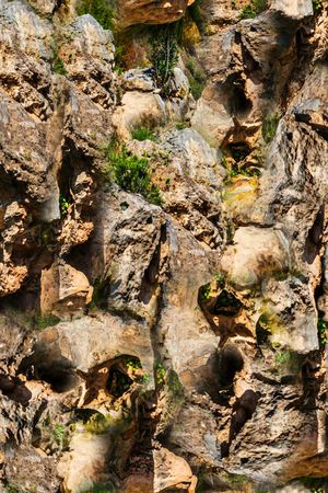 潮流时尚大牌印花华亿平台图片