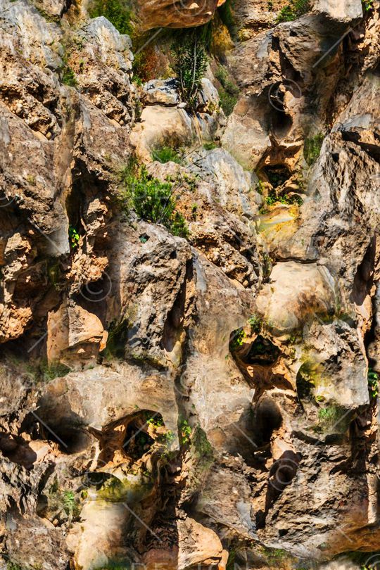 潮流时尚大牌印花华亿平台图片