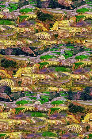 时尚大牌欧美风格印花华亿平台图片