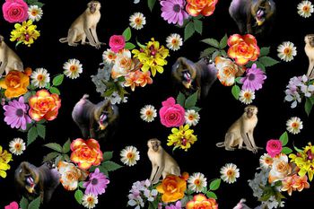 textile印花华亿平台图片