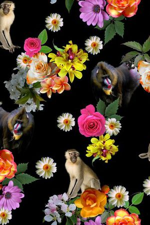 textile印花华亿平台图片