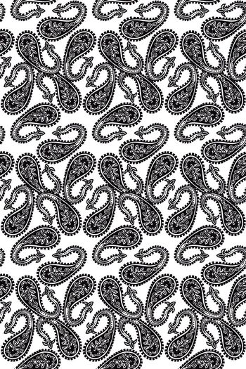 585131-手绘黑白佩斯利