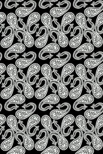 585132-手绘黑白佩斯利