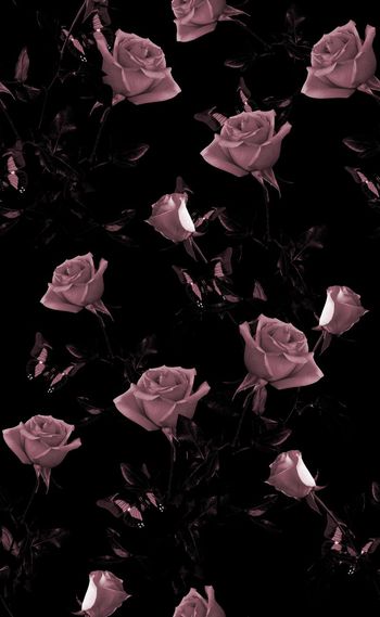 585162-欧美时尚单色格调花卉