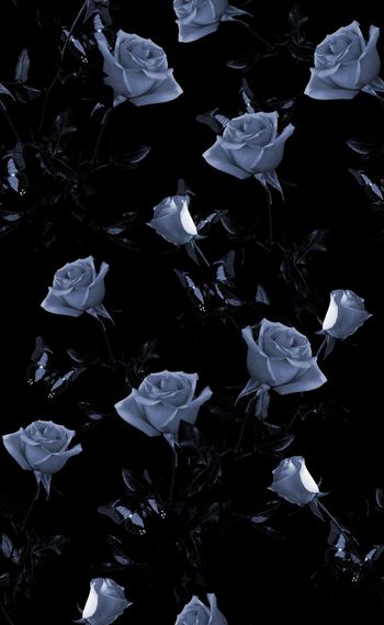 585163-欧美时尚单色格调花卉