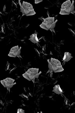 黑白格调印花华亿平台图片